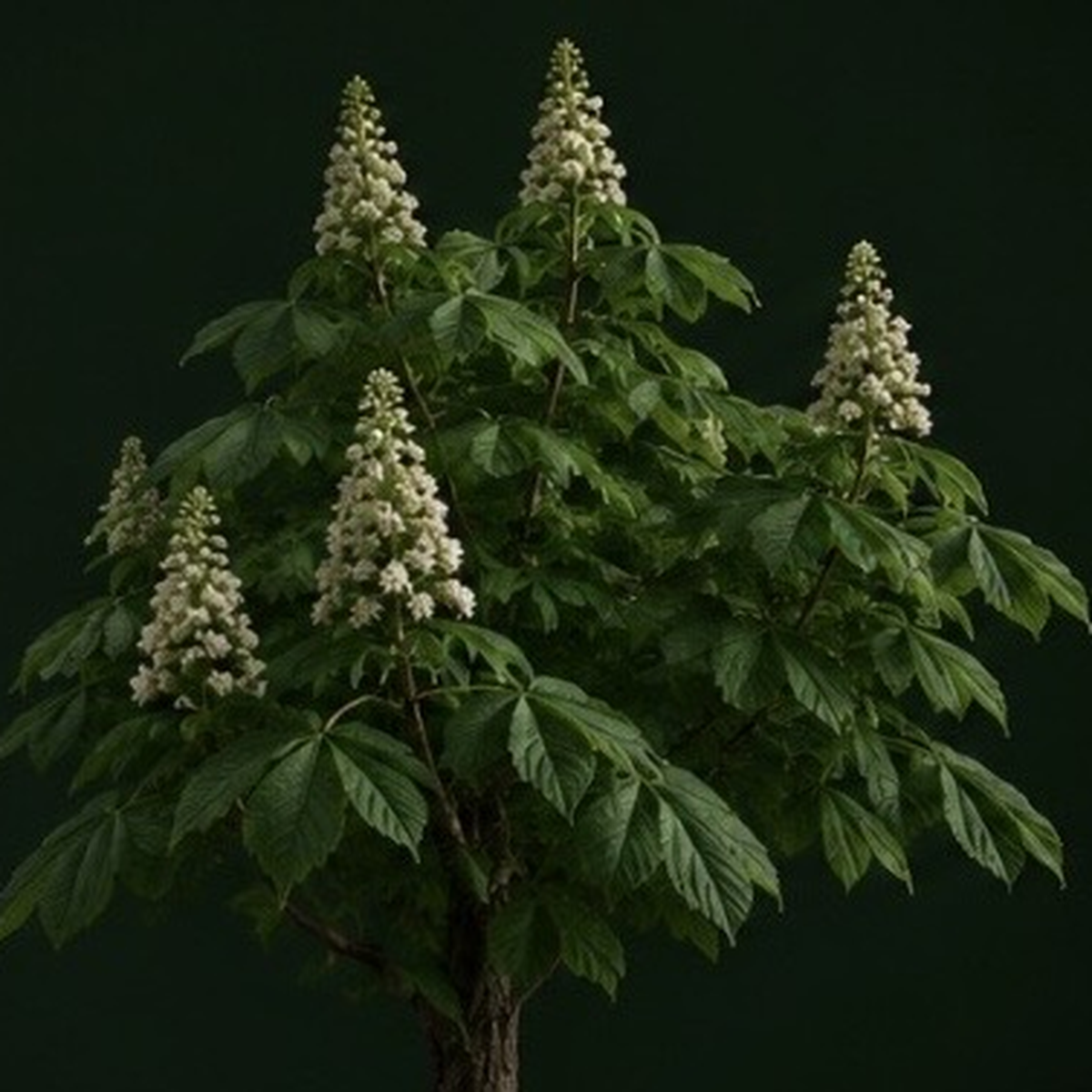 Кустарники